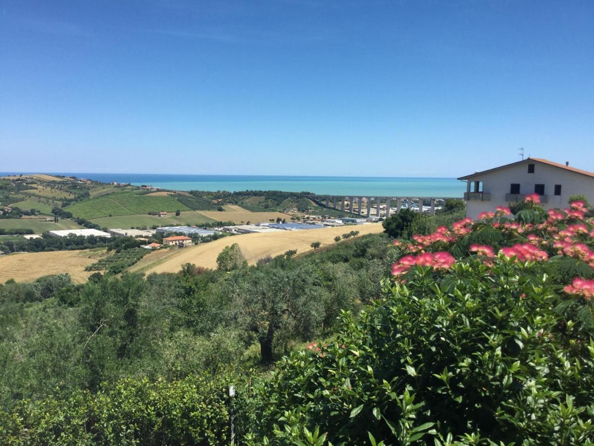 Ellebi B&B Montone  Exterior photo